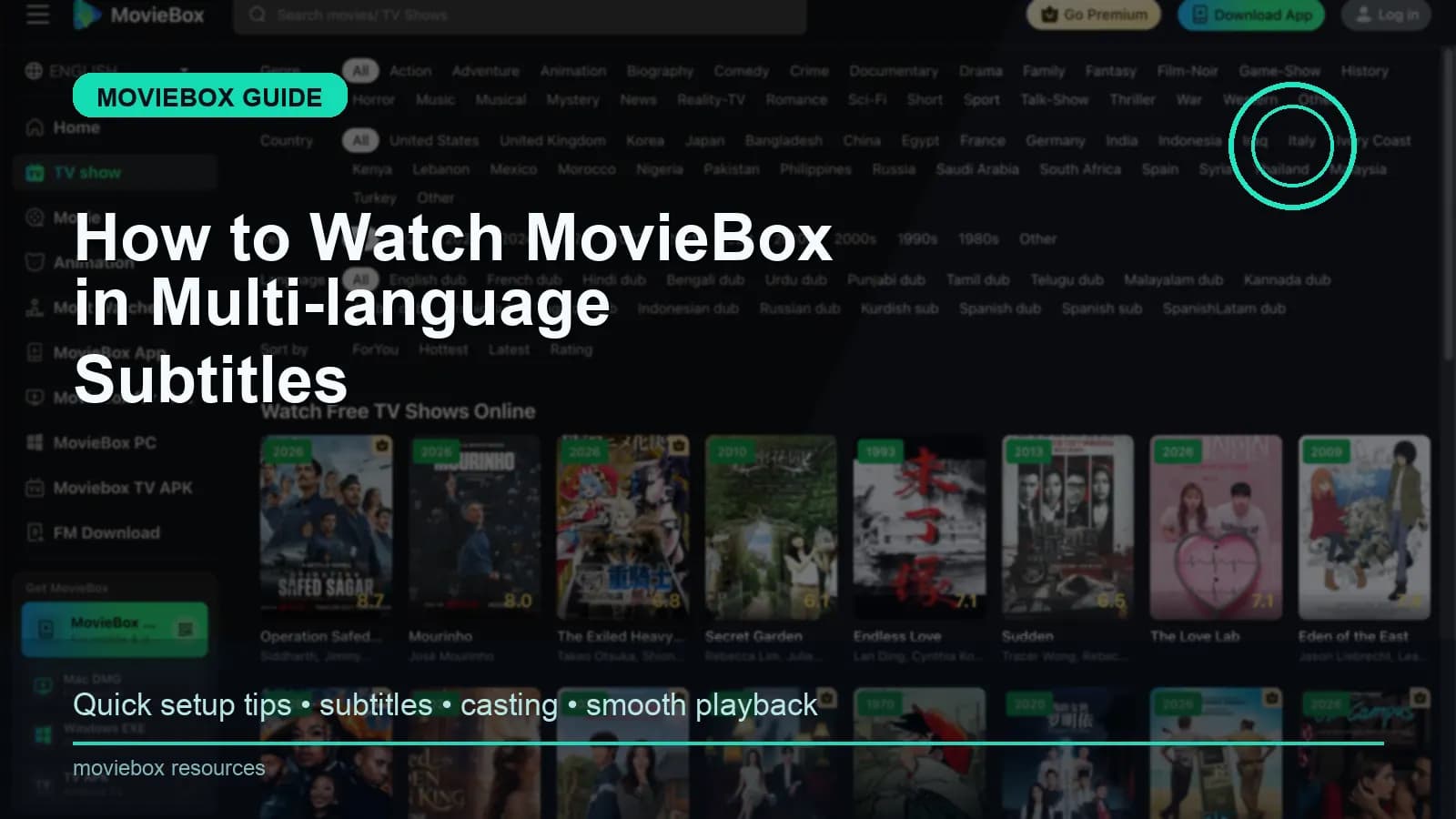 MovieBox subtitles setup guide preview
