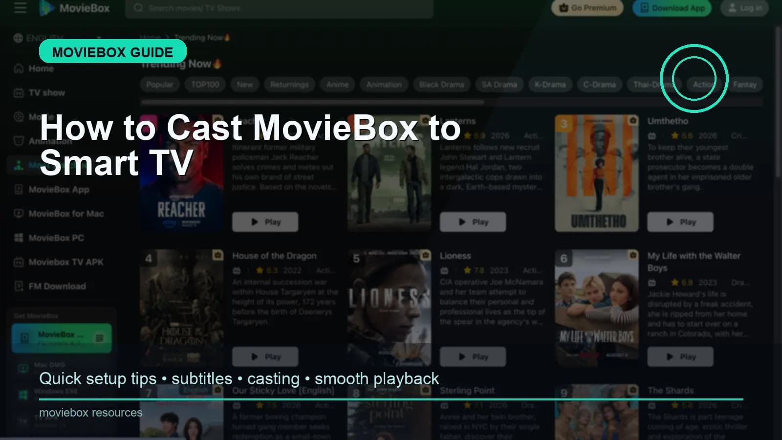 How to Cast MovieBox to Smart TV preview