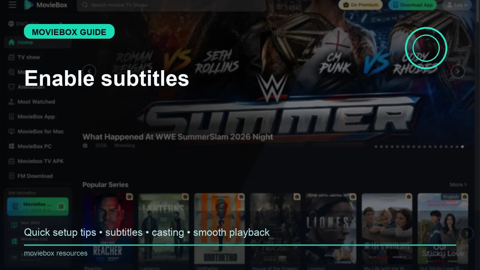 Enable subtitles on Windows