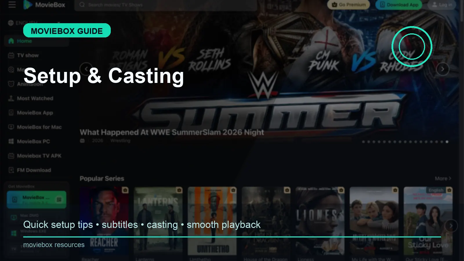 Step 3: Start playback and optimize quality